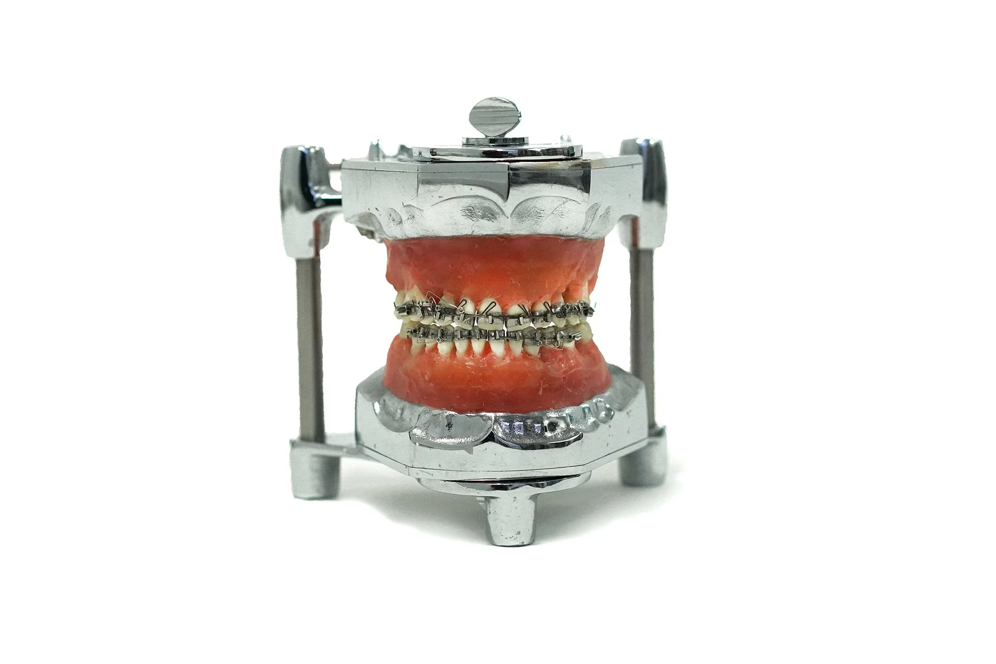 Shika×TOKYOGUNS CICAGO Shika×TOKYOGUNS CICAGO 1940's Orthodontic Teeth on Articulator